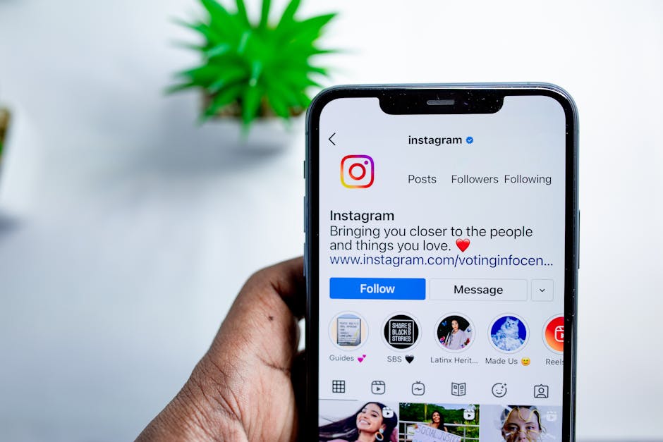 Instagram Follower Counter Online - Check Any Account's Followers